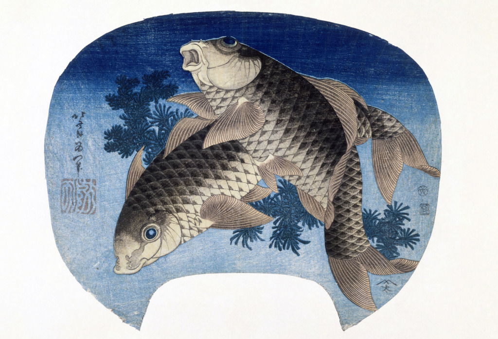 Deux carpes, Koi, Ère Tempō, an II (1831) Estampe nishiki-e, format uchiwa-e 23,2 × 28,7 cm Signature : Hokusai Aratame Iitsu hitsu Sceau : non identifié Paris, Musée national des arts asiatiques - Guimet © Rmn-Grand Palais (musée Guimet, Paris) / Thierry Ollivier Cette oeuvre est présentée dans le volet B, du 1er décembre au 18 janvier