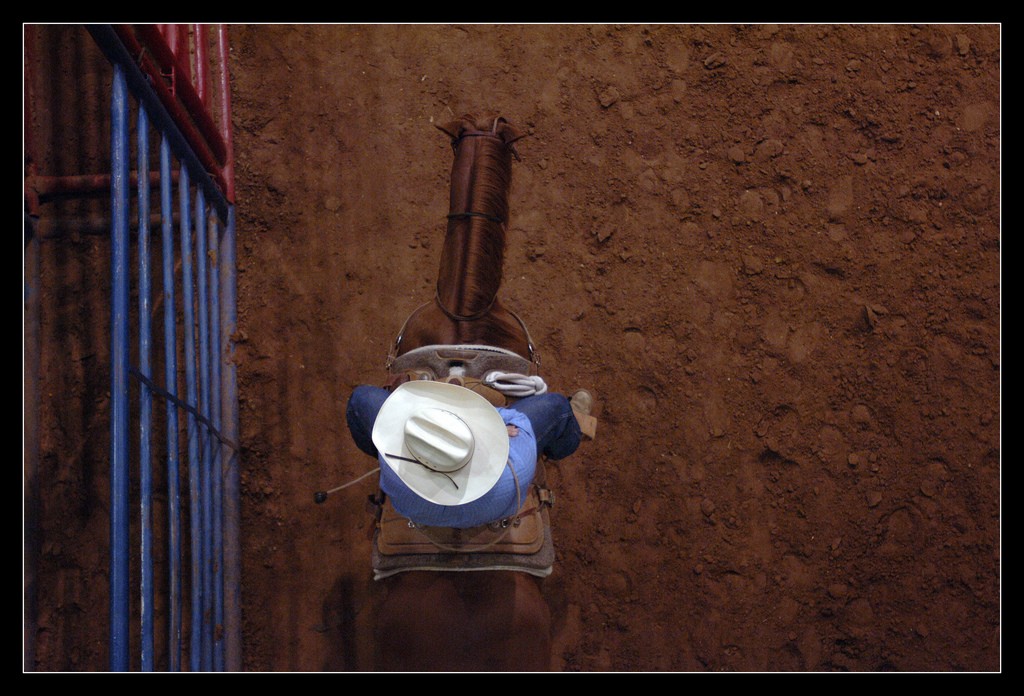 242157993_1a4f9cdb1f_b