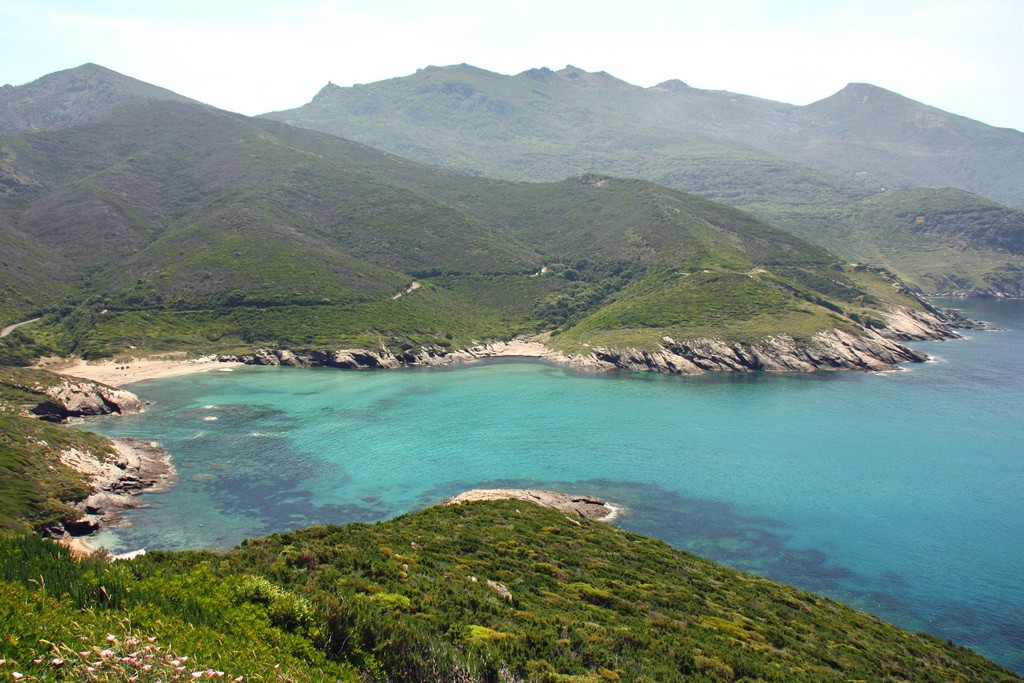 5513031896_263ba4b464_b